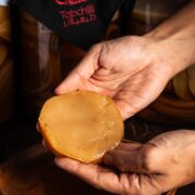 Kombucha Cultures SCOBY